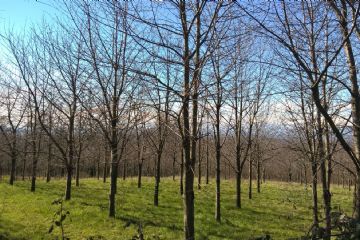 Terra, Erba e Fango